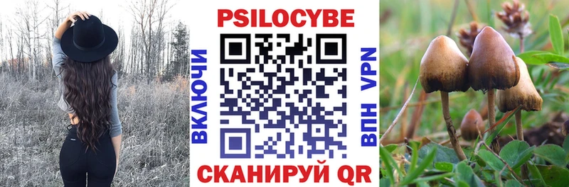 Галлюциногенные грибы ЛСД  Купить закладки  Анадырь 